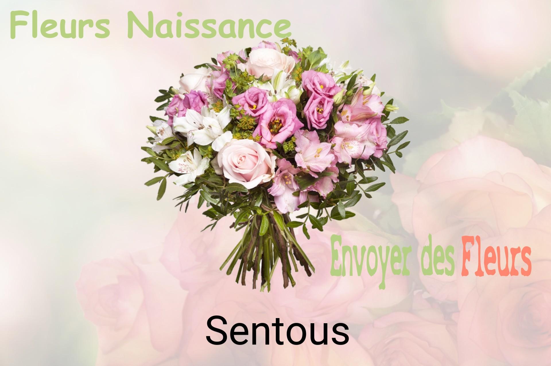 Bouquet de fleurs de naissance livré à Sentous